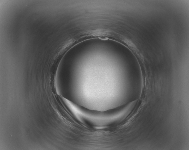 X0000081420201200701121244