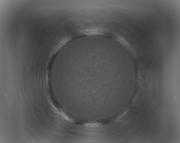 X0000081420202200701121244