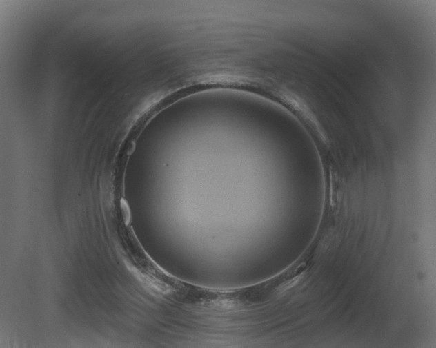X0000081420204200701121244
