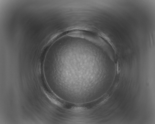 X0000081420205200701121244