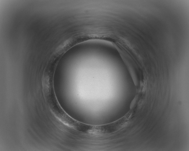 X0000081420211200701121244