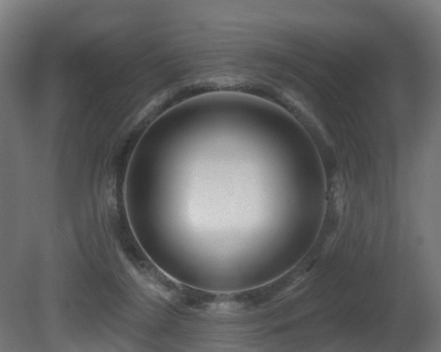 X0000081420212200701121244