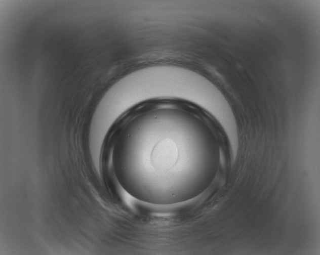 X0000081420213200701121244