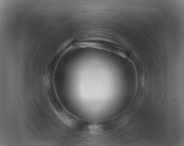 X0000081420216200701121244