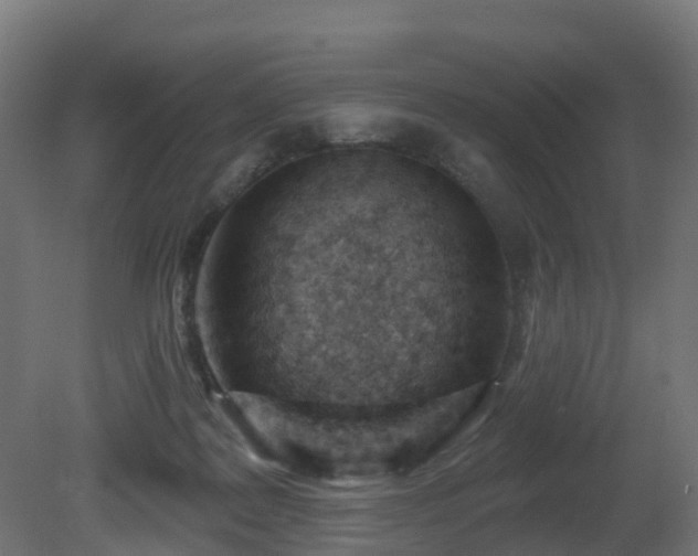 X0000081420219200701121244
