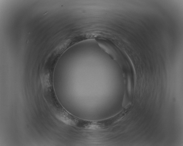 X0000081420224200701121244