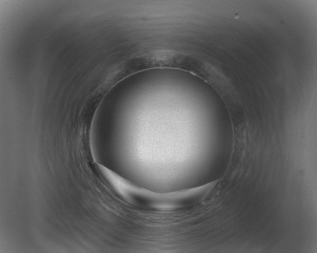 X0000081420225200701121244