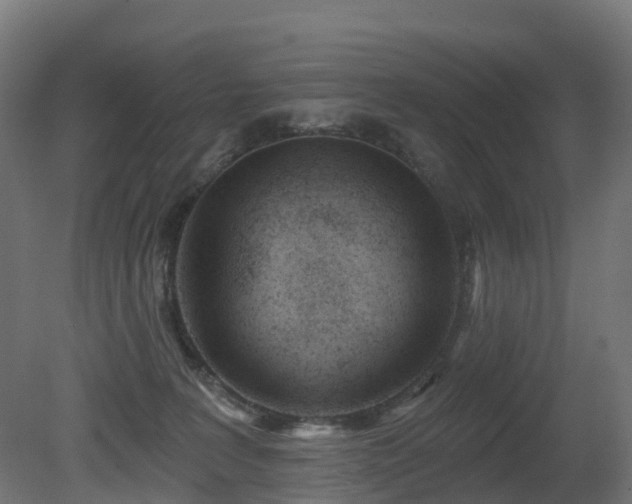 X0000081420227200701121244