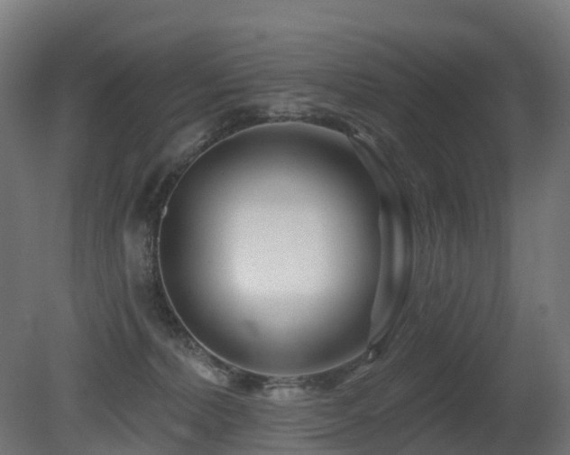 X0000081420228200701121244