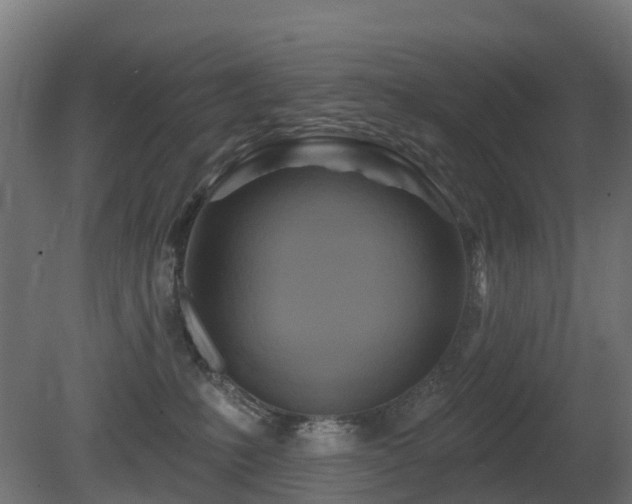 X0000081420231200701121244
