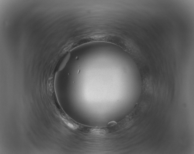 X0000081420234200701121244