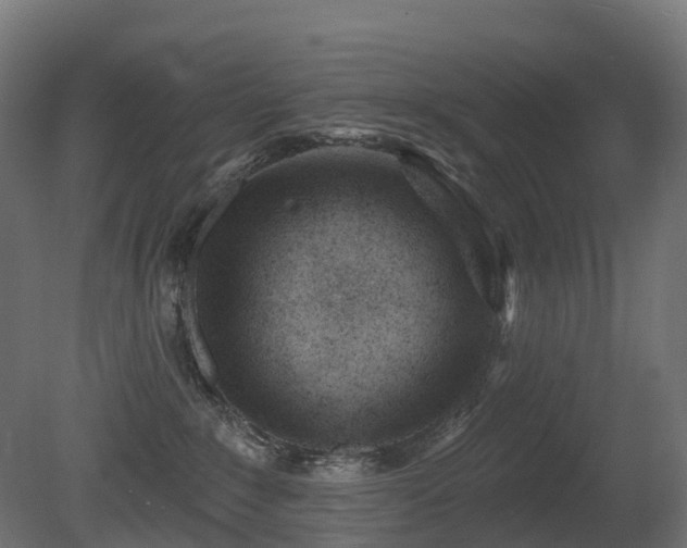 X0000081420235200701121244