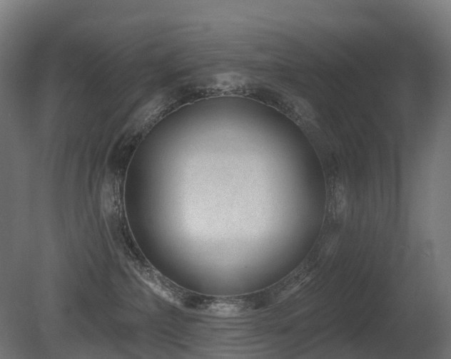X0000081420236200701121244