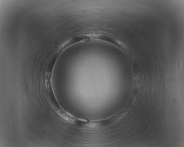 X0000081420237200701121244