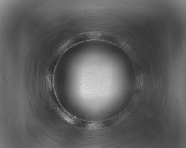 X0000081420238200701121244