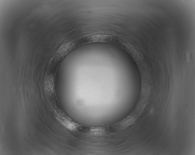 X0000081420240200701121244
