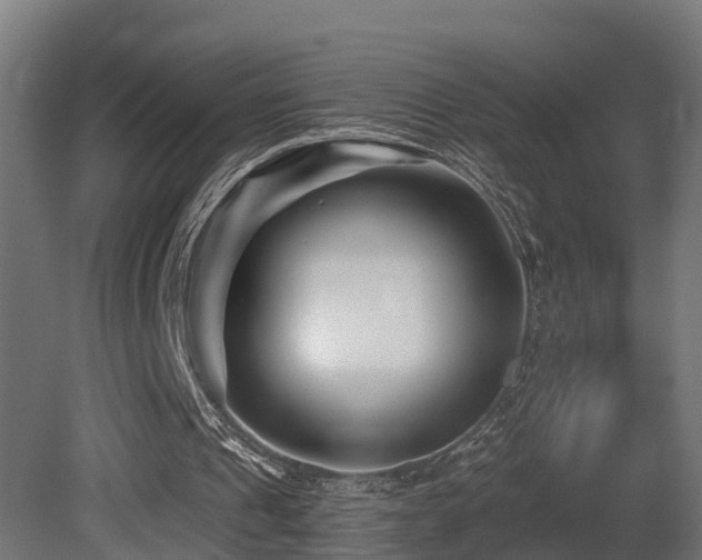 X0000081420241200701121243