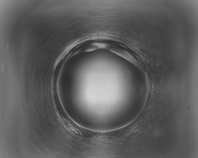 X0000081420244200701121243