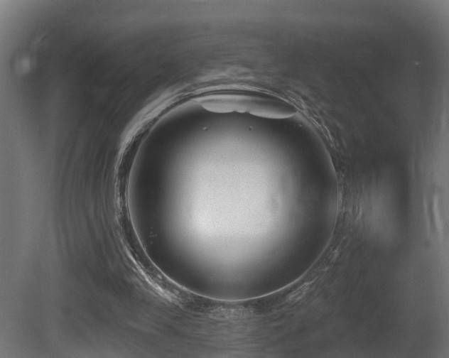 X0000081420245200701121243