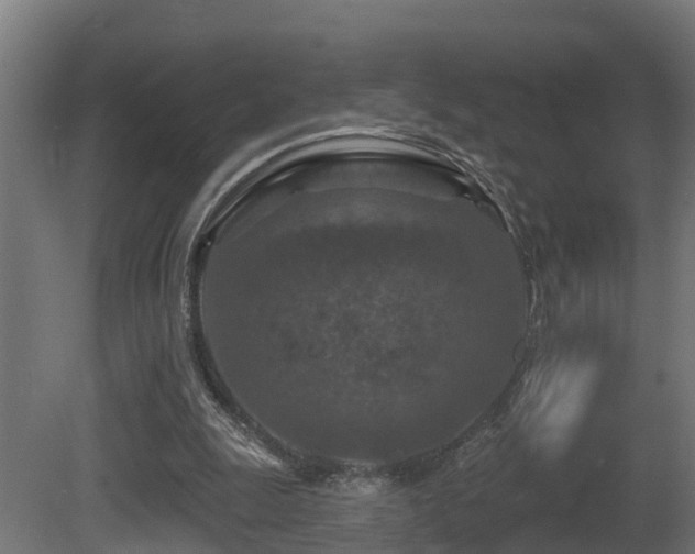 X0000081420247200701121243