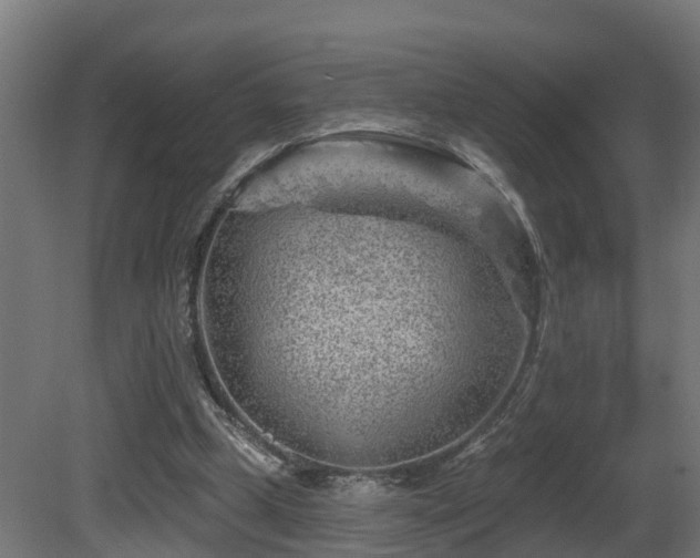 X0000081420249200701121243