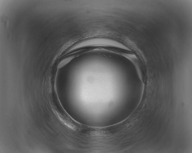 X0000081420250200701121243
