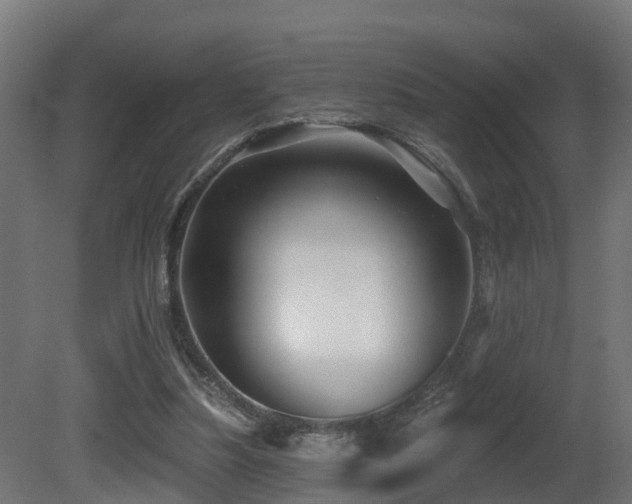 X0000081420251200701121243
