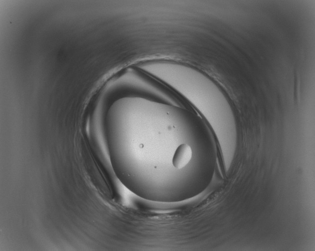 X0000081420252200701121243