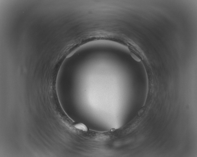 X0000081420257200701121243