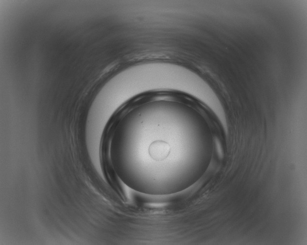 X0000081420260200701121243