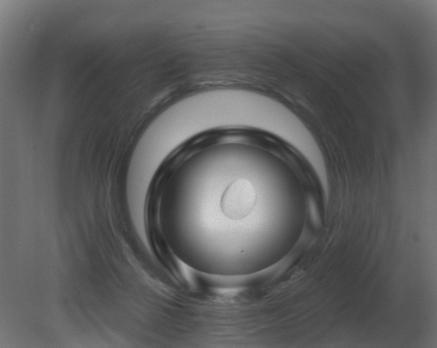 X0000081420264200701121243