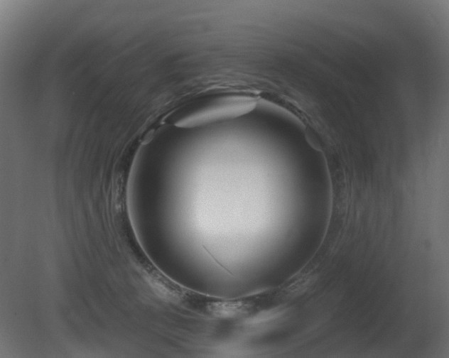 X0000081420273200701121244