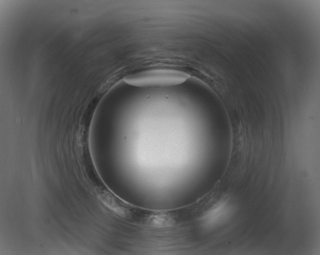 X0000081420275200701121244