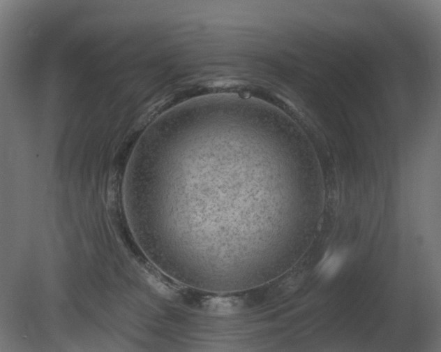 X0000081420277200701121244