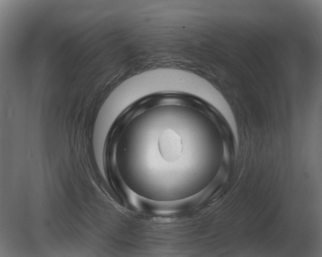 X0000081420280200701121244