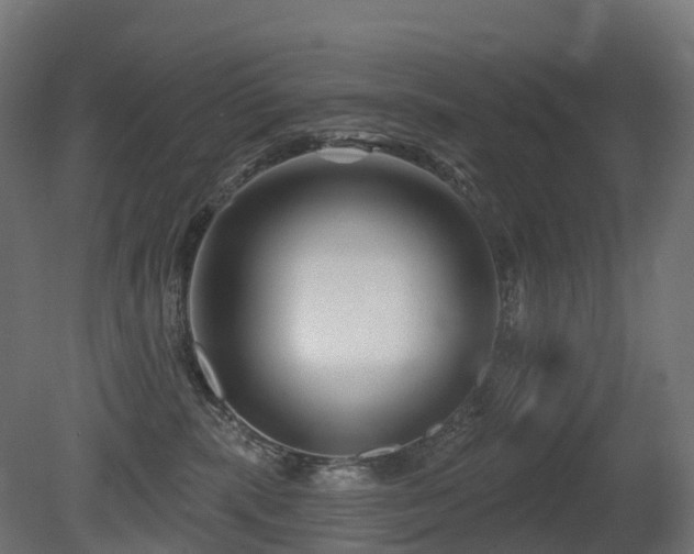 X0000081420283200701121244