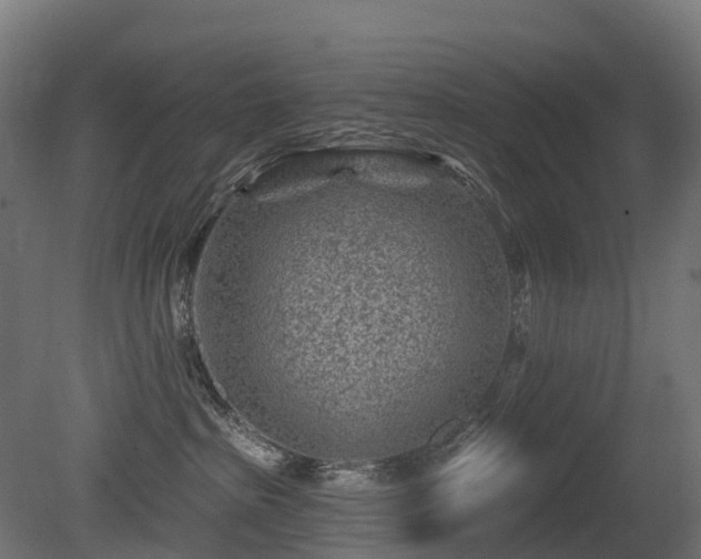 X0000081420285200701121244