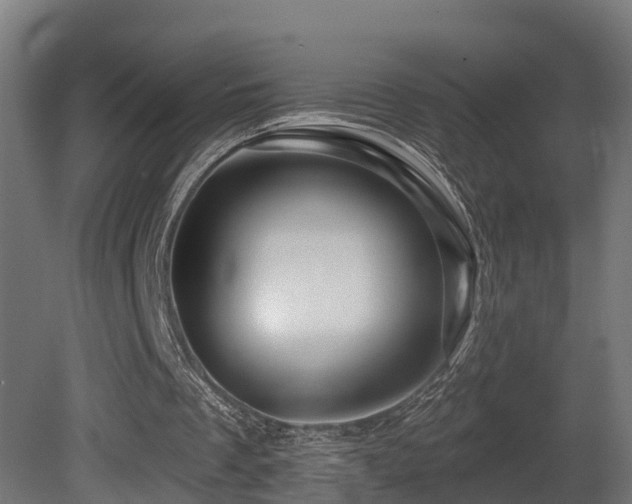 X0000081420289200701121243