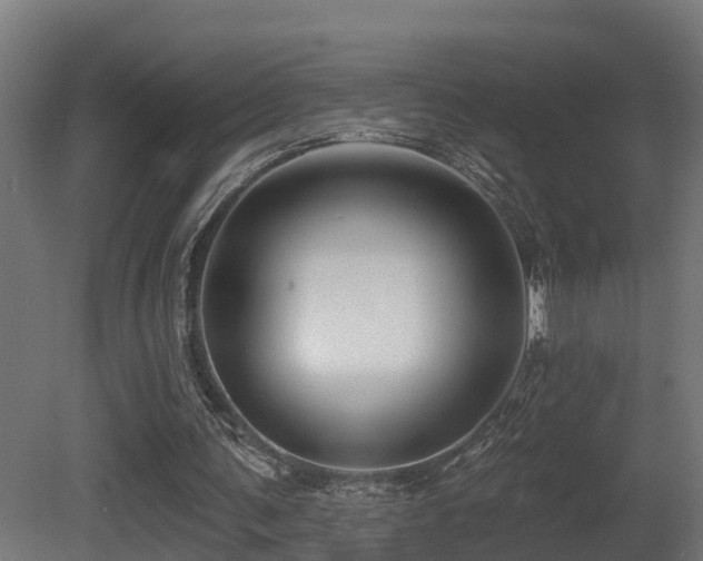 X0000081420291200701121243