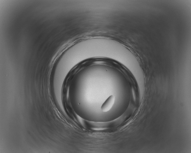 X0000081420293200701121243