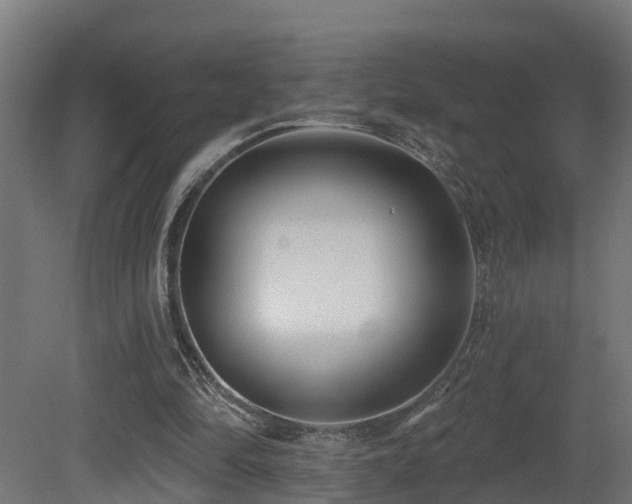 X0000081420294200701121243