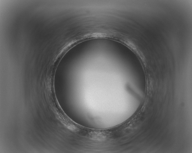 X0000081420297200701121243