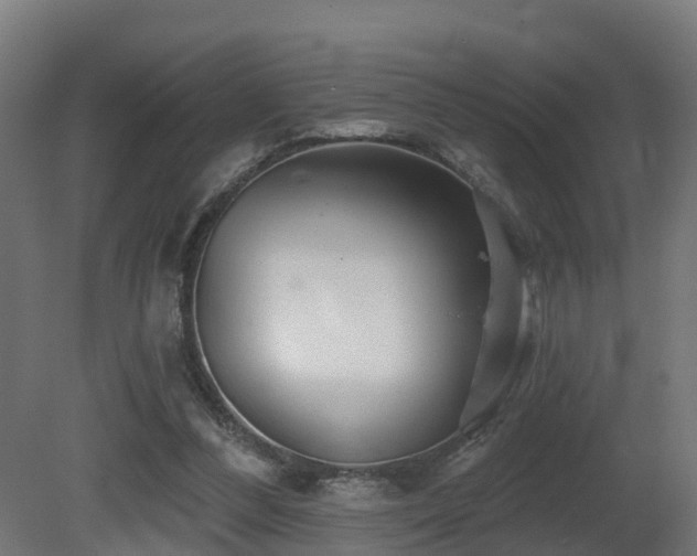 X0000081420300200701121243