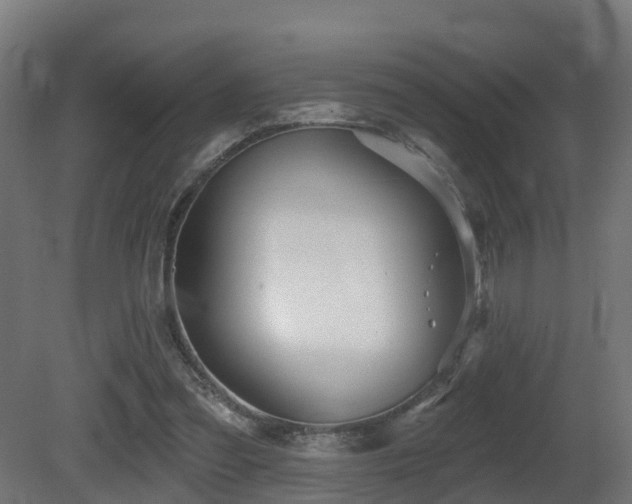 X0000081420301200701121243