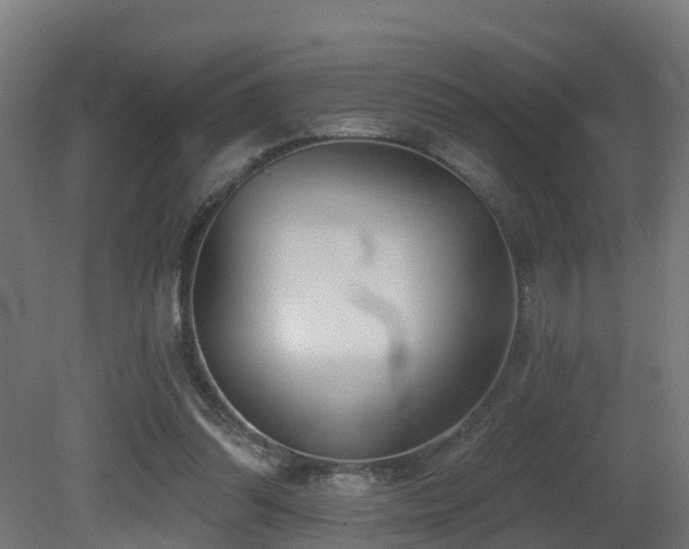 X0000081420302200701121243