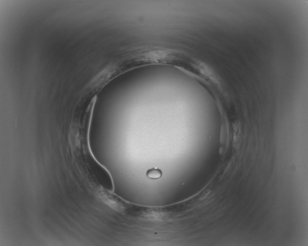 X0000081420313200701121243