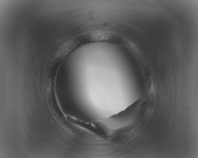 X0000081420315200701121243