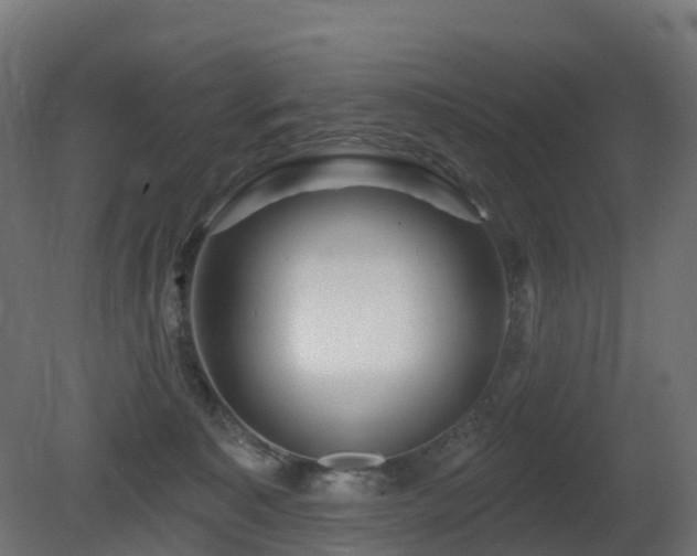 X0000081420323200701121242