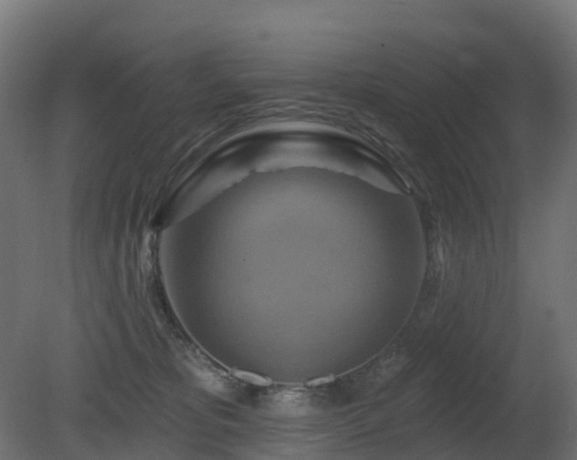 X0000081420325200701121242