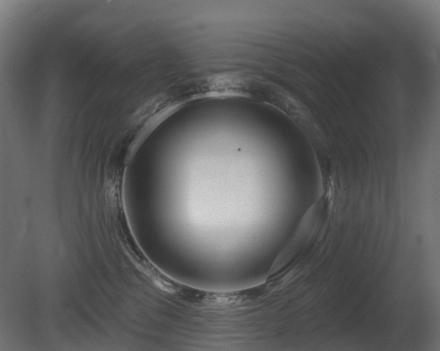 X0000081420329200701121242
